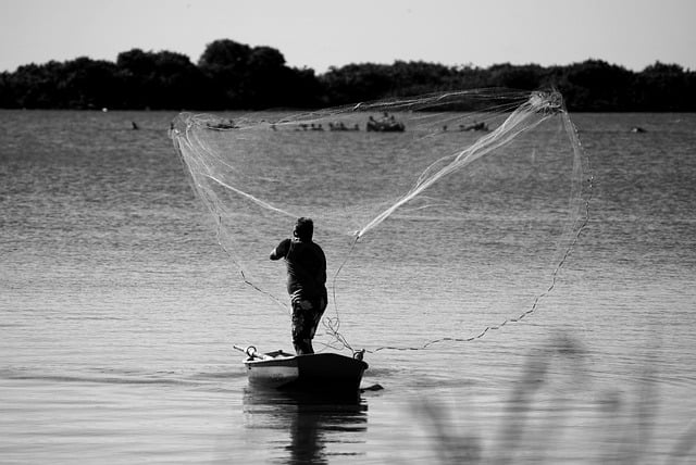 Guiding Young Rodents: The Essence of Baby Fishing Shirts