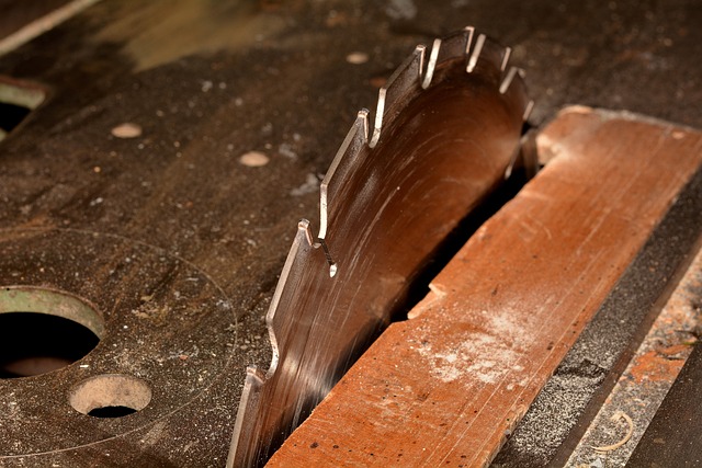 Mastering Circular Saws: A Comprehensive Guide to Types and Features