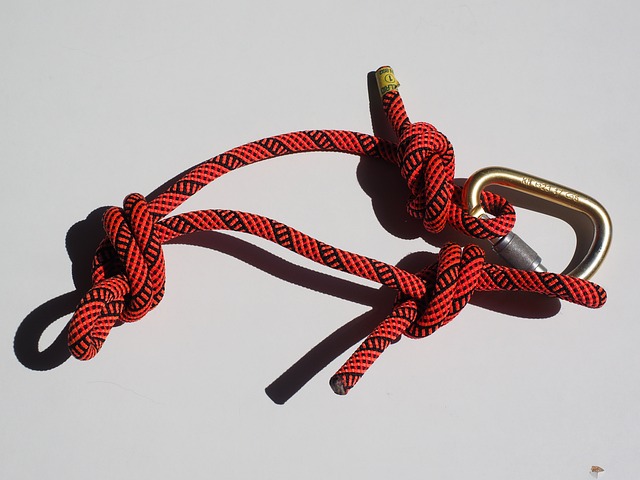 Exploring Rope Toys: A Historical Guide to Types and Uses