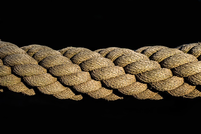 Exploring the History and Transformation of Rope Toys Through Ages