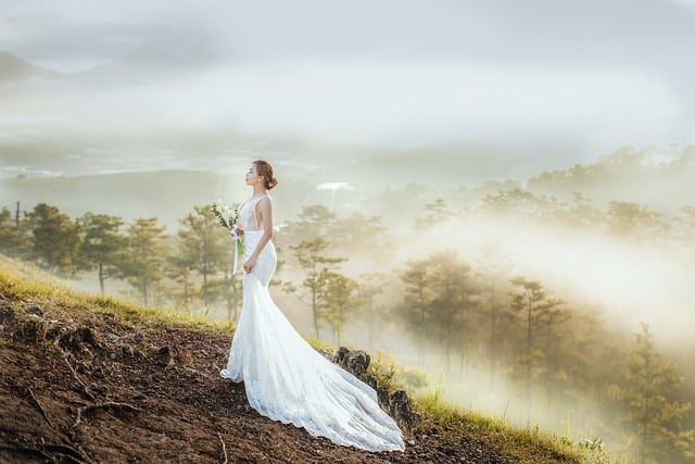 Celebrating Love and Beauty: The Emergence of Stunning Plus Size Wedding Dresses