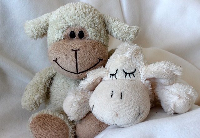 Comfort and Companionship: The Significance of Stuffed Plush Toys